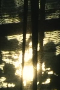 Poster for Canvas (Short Version)