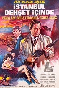 Poster 3