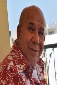 Profile of Adel Shoukry