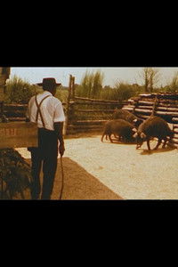 Poster for Hush Hoggies Hush: Tom Johnson's Praying Pigs