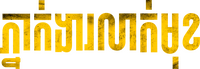 Logo 29