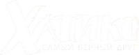 Logo 0