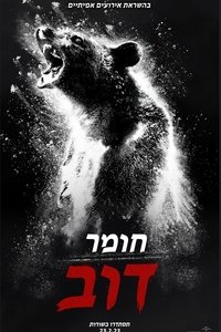 Poster 48