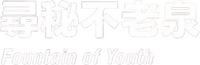 Logo 41