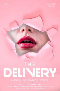 Poster for The delivery