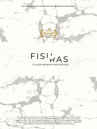 Poster for Fisuras