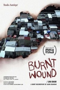 Poster for Burnt Wound