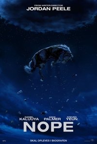 Poster 13