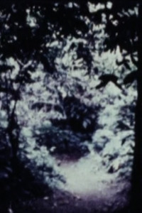 Poster for Éléments 1