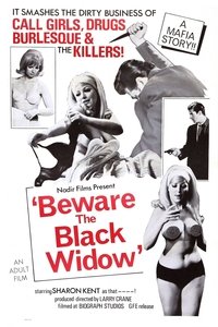 Poster 3