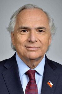 Profile of Andrés Chadwick