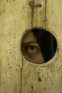 Poster for The Swing