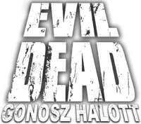 Logo 13