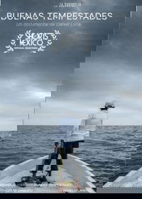 Poster for Good Storms
