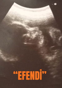 Poster for "EFENDİ"