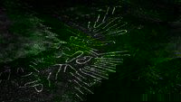 Backdrop 4