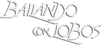 Logo 13