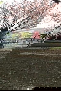 Tokyo rendering kashu