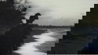 Backdrop 0