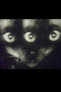 Wee Gee’s Camera Magic