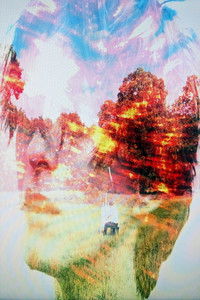 Poster for Perdition