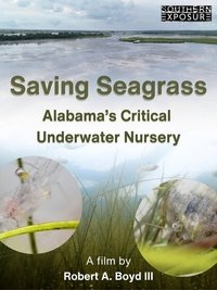 Poster for Saving Seagrass: Alabama's Critical Underwater Nursery