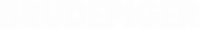 Logo 20