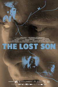 Poster for The Lost Son