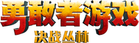 Logo 13