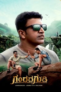 Poster 4