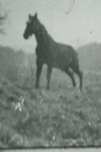 Poster for Golan