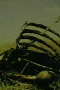 Poster for C’est la vie