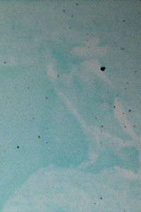 Poster for Forgotten Landscape