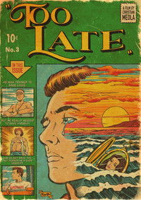 Poster for Too Late