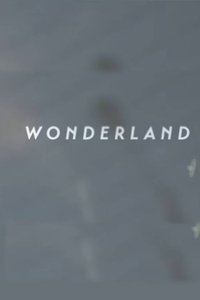 Poster for Wonderland | A Short Form Doc on Creative Commerce