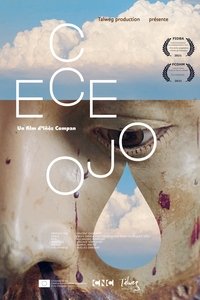 Poster for Colombie : les visages de la reconstruction
