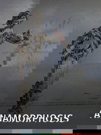 Anamorphosis