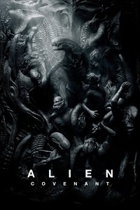 Poster 31