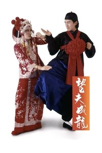 Poster 5