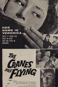 Poster 33