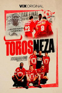 Poster for Toros Neza
