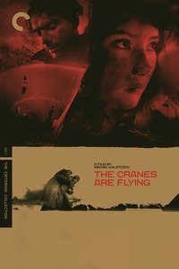 Poster 30