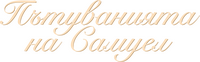 Logo 7
