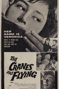 Poster 43