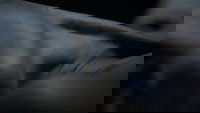 Backdrop 1
