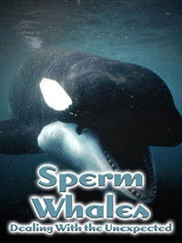 Sperm Whales: Dealing with the Unexpected