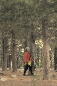 Poster for The Path