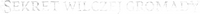 Logo 21