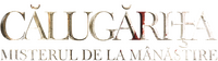 Logo 20