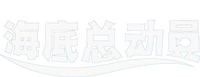 Logo 40